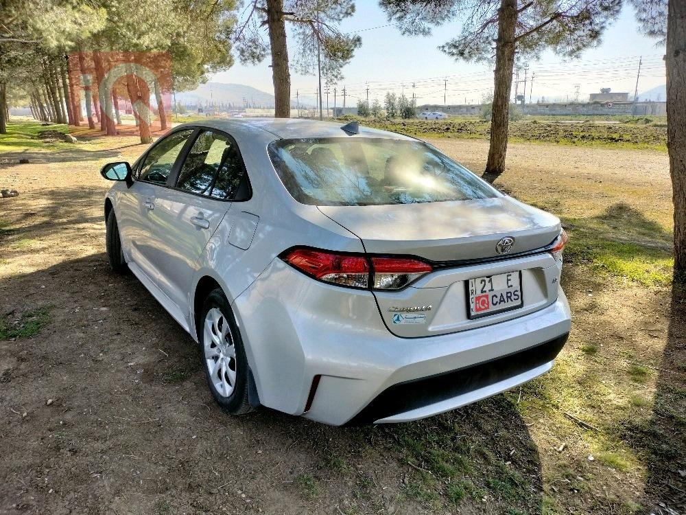 تويوتا كورولا